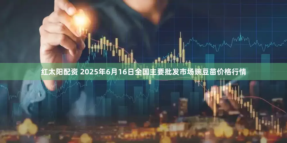 红太阳配资 2025年6月16日全国主要批发市场豌豆苗价格行情
