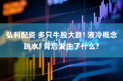 弘利配资 多只牛股大跌! 液冷概念跳水! 背后发生了什么?
