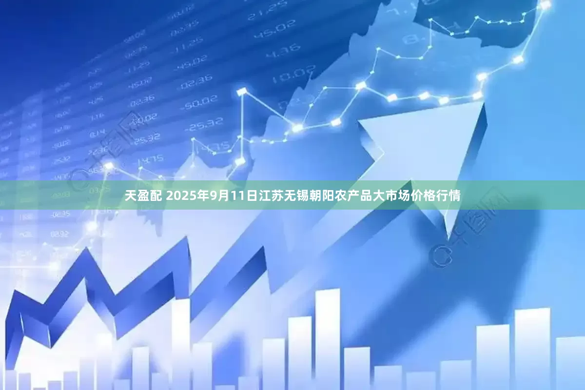 天盈配 2025年9月11日江苏无锡朝阳农产品大市场价格行情