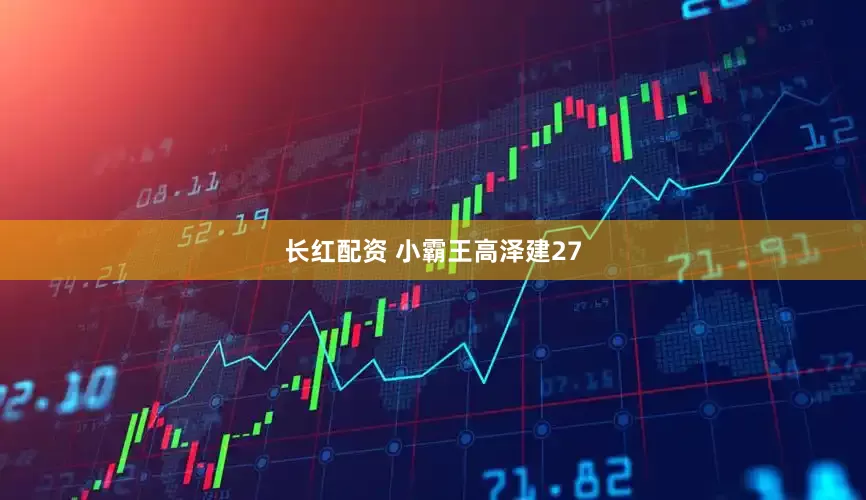 长红配资 小霸王高泽建27